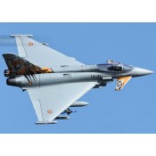 Freewing Eurofighter Typhoon 90mm EDF Jet 